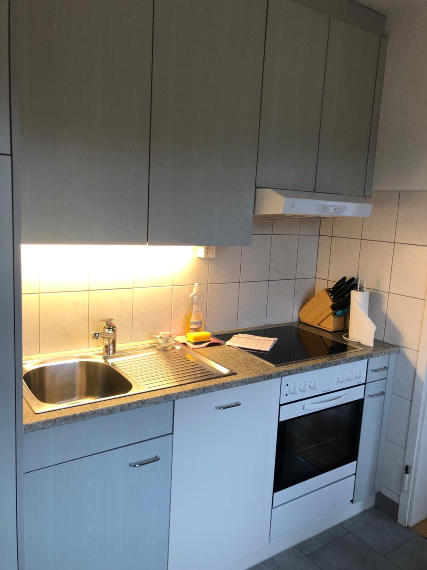Cozy, Sunny, City Center 1 Bedroom Flat Zurich Exterior photo